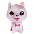 Игрушка-сюрприз «Чудо-питомец» в стакане - Фото 6