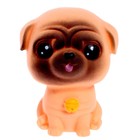 Игрушка-сюрприз «Чудо-питомец» в стакане - Фото 7