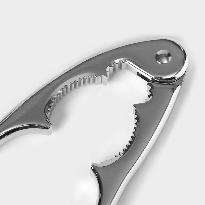 Орехокол Доляна «Идея», нержавеющая сталь - фото 1883839182