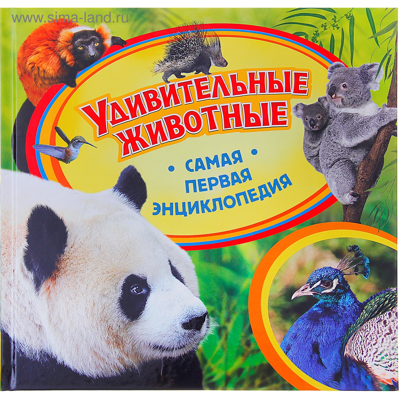 Удивительные животные 3 класс. Детская энциклопедия. Интересные факты про зрение животных. Росмэн удивительные кошки. Мемо удивительные животные 50 карточек.