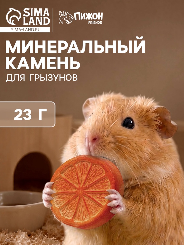 Минеральный камень «Пижон» для грызунов, апельсин, 23 г - Фото 1