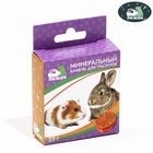 Минеральный камень «Пижон» для грызунов, апельсин, 23 г - Фото 2