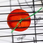 Минеральный камень «Пижон» для грызунов, апельсин, 23 г - Фото 6