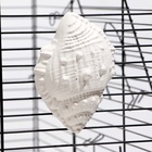 Минеральный камень «Пижон» для птиц, ракушка с углем, 90 г - Фото 5