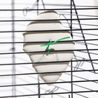 Минеральный камень «Пижон» для птиц, ракушка с углем, 90 г - Фото 6