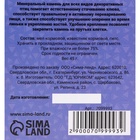 Минеральный камень «Пижон» для птиц, пион, 45 г - Фото 3