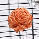 Минеральный камень «Пижон» для птиц, пион, 45 г - Фото 5