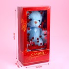 Мягкая игрушка «Самой прекрасной», голубой мишка 7361028