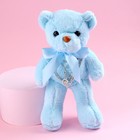 Мягкая игрушка «Самой прекрасной», голубой мишка 7361028