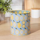 Подставка для столовых приборов металлическая «Фрукты и цветы», 12×13 см, лимон - Фото 2