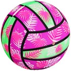 Мяч детский «Волейбол», d=22 см, 60 г - фото 3751417
