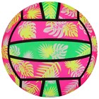 Мяч детский «Волейбол», d=22 см, 60 г - фото 3751419