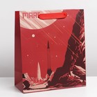 Пакет подарочный ламинированный вертикальный, упаковка, «Mars», ML 23 х 27 х 11,5 см - Фото 2