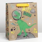 Пакет подарочный крафтовый вертикальный, упаковка, «Dino», ML 23 х 27 х 11.5 см - фото 320872985
