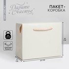 Пакет—коробка «Белый», 23 × 18 × 11 см - фото 9590107