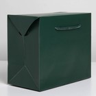 Пакет—коробка «Изумрудный», 23 × 18 × 11 см - фото 6550269