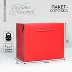 Пакет—коробка «Красный», 23 × 18 × 11 см - фото 299712115