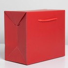 Пакет—коробка «Красный», 23 × 18 × 11 см - фото 6550277