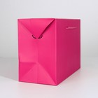 Пакет—коробка «Фуксия», 28 × 20 × 13 см - фото 6550297
