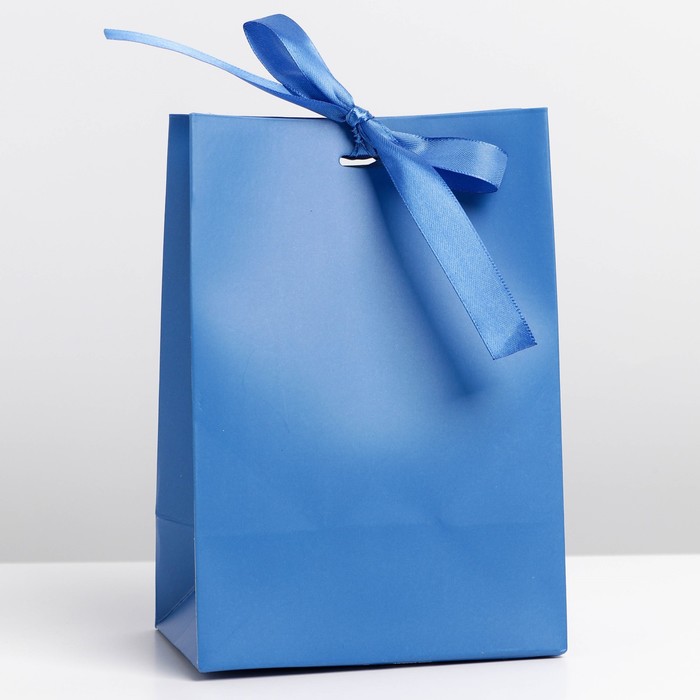 Пакет подарочный с лентой, упаковка, «Синий», 13 х 19 х 9 см