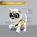 Робот кот «Шерри» IQ BOT, интерактивный: сенсорный, свет, звук, музыкальный, танцующий, на аккумуляторе, на русском языке, золотой - фото 4062939