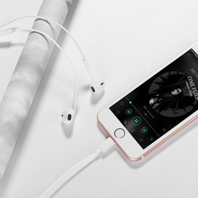 Наушники Hoco L7, проводные, вкладыши, микрофон, Lightning, кабель 1.2 м, белые