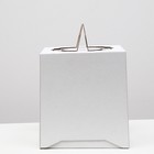 Кондитерская упаковка "Овал", 2 окна, белая, 24 х 24 х 26 см (комплект 5 шт) - фото 48945920