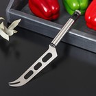 Нож для сыра Доляна Fargo, 26×3×2 см, нержавеющая сталь, цвет серебряный - фото 318791496