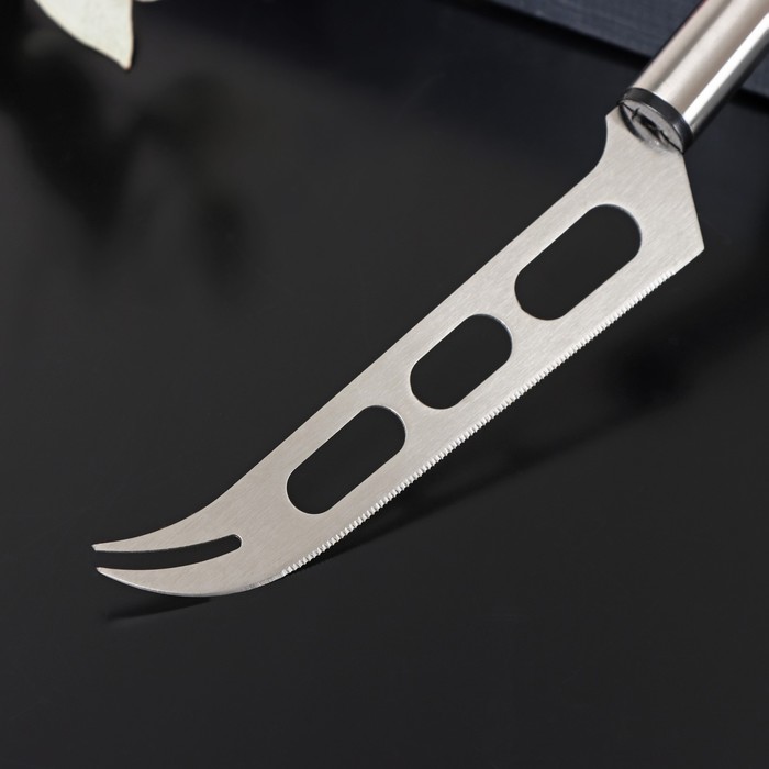Нож для сыра Доляна Fargo, 26×3×2 см, нержавеющая сталь, цвет серебряный - фото 1907385127