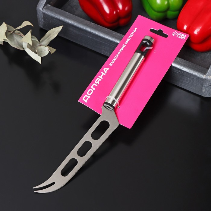 Нож для сыра Доляна Fargo, 26×3×2 см, нержавеющая сталь, цвет серебряный - фото 1907385128