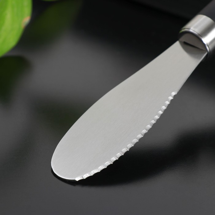 Нож для масла Доляна Venus, нержавеющая сталь, 25 см, цвет чёрный - фото 1891222597