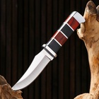 Нож охотничий, клинок 10,5см - фото 809408945