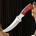 Нож охотничий "Ринд" 22см, клинок 115мм/4мм, коричневый - Фото 3
