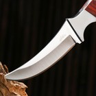 Нож охотничий "Ринд" 22см, клинок 115мм/4мм, коричневый - Фото 4