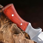 Нож охотничий "Ринд" 22см, клинок 115мм/4мм, коричневый - Фото 5