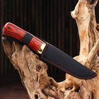 Нож охотничий "Алвар" 24,5см, клинок 130мм/3мм, коричневый - Фото 2