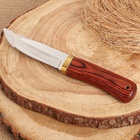 Нож охотничий, клинок13см - фото 809408954