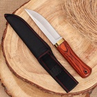 Нож охотничий, клинок13см - фото 809408955