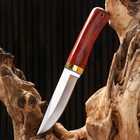 Нож охотничий "Алвар" 24,5см, клинок 130мм/3мм, коричневый - Фото 3