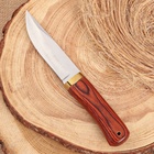 Нож охотничий, клинок13см - фото 809408952