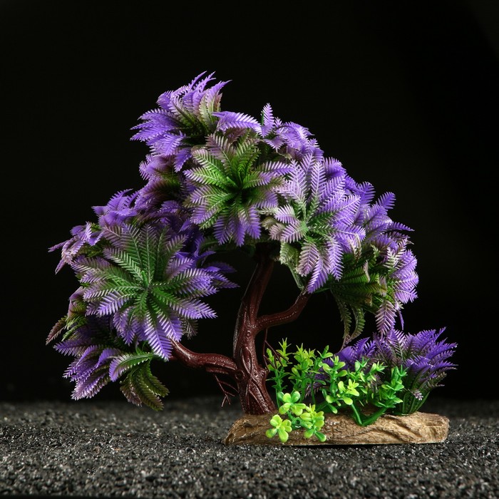 Растение для аквариума и террариума, 11×21 см - Фото 1