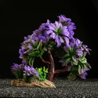 Растение искусственное аквариумное, 11 х 21 см - Фото 2