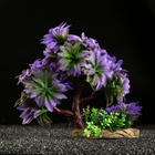 Растение для аквариума и террариума, 11×21 см - Фото 2