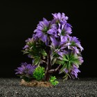 Растение искусственное аквариумное, 11 х 21 см - Фото 3