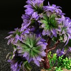 Растение искусственное аквариумное, 11 х 21 см - Фото 5