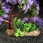 Растение для аквариума и террариума, 11×21 см - Фото 5