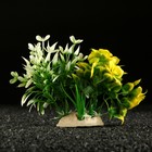 Растение искусственное аквариумное, 18 х 11 х 12 см, белое - Фото 2
