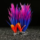 Растение для аквариума и террариума, 18×10×11.5 см, красно-фиолетовый - Фото 2