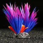 Растение для аквариума и террариума, 18×10×11.5 см, красно-фиолетовый - Фото 3