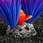 Растение для аквариума и террариума, 18×10×11.5 см, красно-фиолетовый - Фото 4